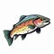 Minimalist Rainbow Trout Graphic Drawing With Fantastic Full Face