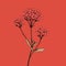 Minimalist Red Background With Handdrawn Pink Flowers