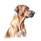 Minimalist Rhodesian Ridgeback Watercolor Painting in Soft Pastel Colors for Pet Lovers.