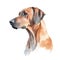 Minimalist Rhodesian Ridgeback Watercolor Painting in Soft Pastel Colors for Pet lovers.