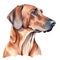 Minimalist Rhodesian Ridgeback Watercolor Painting in Soft Pastel Colors for Pet Lovers.