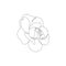 Minimalist rose drawing. Line art tattoo design. Simple trendy floral sketch. Concept for logo, card, banner, poster, flyer