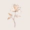 Minimalist Rose Sketch On Beige Background - Romantic And Elegant Art