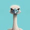 Minimalist Scandinavian Art: Detailed Ostrich Portrait On Blue Background