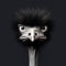 Minimalist Scandinavian Art: Ostrich Head In Vray Tracing Style