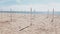 Minimalist sea beach landscape with white rusty poles