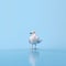 Minimalist Seagull: A Captivating Image Of A Distinctive Bird