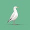 Minimalist Seagull Illustration On Green Background