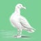 Minimalist Seagull Illustration On Green Background