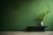 Minimalist with Serene Green Wall And Empty Room. AI Genereted