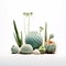 Minimalist Serene Scene with Succulents and Cacti