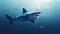 Minimalist Shark Vector Wallpaper With Trilinear Water On Blue Background