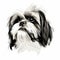 Minimalist Shih Tzu Head Illustration In Black And White