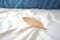 a minimalist shot of a single feather on a clean, white bedspread