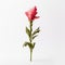 Minimalist Snapdragons: Red Rose On White Background