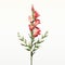 Minimalist Snapdragons With Rose On White Background