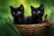 Minimalist Southern Countryside: Exotic Black Kittens in a Basket on Grass (AI Generated)