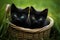 Minimalist Southern Countryside: Exotic Black Kittens in a Basket on Grass (AI Generated)