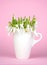 Minimalist spring composition with snowdrops. Mother\\\'s Day, Valentine\\\'s and Women\\\'s Day concept