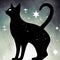 Minimalist Stencil Cat Star Sign (AI Generated