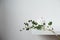 Minimalist still life, green eucalyptus branch and emty ceramic vase on white table by white wall