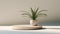 Minimalist Still Life: Yucca On White Circular Platform With Volumetric Lighting