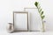 Minimalist stylish composition mockup template with two silver blank frames, zamioculcas in glass vase and silver pot