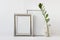 Minimalist stylish composition mockup template with two silver blank frames and zamioculcas plant