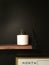 Minimalist Succulent plant on black chalkboard wall