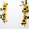 Minimalist Sunflower Art Natural Beauty