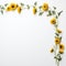 Minimalist Sunflower Art Timeless Charm