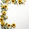 Minimalist Sunflower Delight Simple Grace