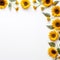 Minimalist Sunflower Grace Elegant Beauty