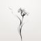 Minimalist Surrealism: Graceful Black And White Flower Illustration