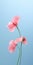 Minimalist Sweet Pea Mobile Wallpaper: Elegant And Tcl 4-series