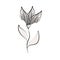 Minimalist tattoo flower elegant flora line art herb and leaves