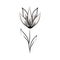 Minimalist tattoo flower herbal leaves plant line art
