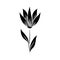 Minimalist tattoo flower herbal leaves plant silhouette art