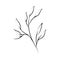 Minimalist tattoo rustic branch flora line art herb and leaves