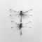 Minimalist two black dragonflies on white background