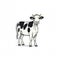 Minimalist Vector Illustration Of A Black And White Cow
