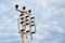 Minimalist view of a concrete high voltage power electric pole, power lines and fuses