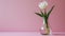 minimalist wallpaper, tulip flower in a clear glass vase, large copyspace area