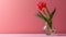 minimalist wallpaper, tulip flower in a clear glass vase, large copyspace area