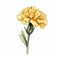 Minimalist Watercolor Illustration Of A Yellow Carnation Flower