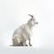 Minimalist White Goat Sitting In Front Of A Clean Background