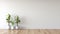 Minimalist White Room With Plants And Wood Floors