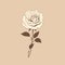 Minimalist White Rose Illustration On Beige Background