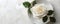 Minimalist white rose in vase against pure white background topdown view. Concept Minimalism, White Rose, Vase, Top-down View,