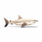 Minimalist White Shark Art On Beige Background